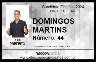 Candidato DOMINGOS MARTINS 2024 - PINTÓPOLIS - Eleições