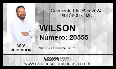 Candidato WILSON 2024 - PINTÓPOLIS - Eleições