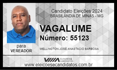 Candidato VAGALUME 2024 - BRASILÂNDIA DE MINAS - Eleições