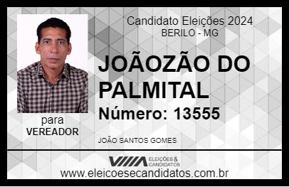 Candidato JOÃOZÃO DO PALMITAL 2024 - BERILO - Eleições