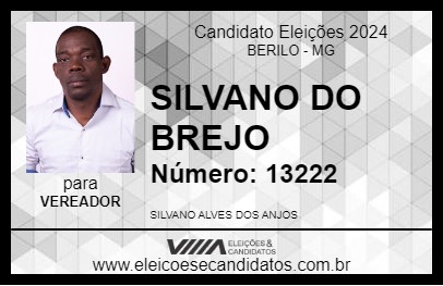 Candidato SILVANO DO BREJO 2024 - BERILO - Eleições