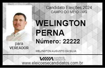 Candidato WELINGTON PERNA 2024 - CAMPO DO MEIO - Eleições