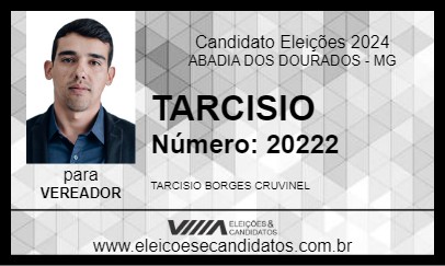 Candidato TARCISIO 2024 - ABADIA DOS DOURADOS - Eleições