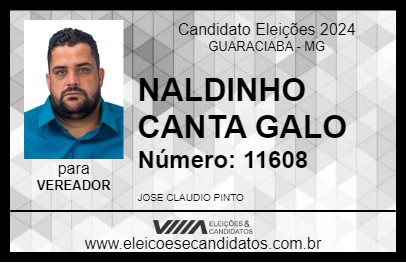 Candidato NALDINHO CANTA GALO 2024 - GUARACIABA - Eleições