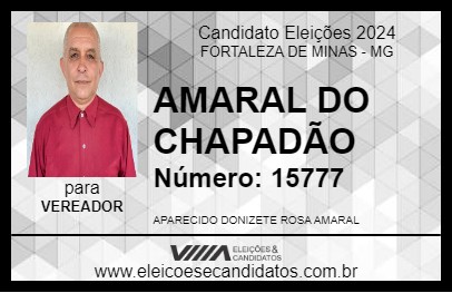 Candidato AMARAL DO CHAPADÃO 2024 - FORTALEZA DE MINAS - Eleições