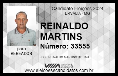 Candidato REINALDO MARTINS 2024 - ERVÁLIA - Eleições