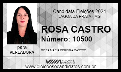 Candidato ROSA CASTRO 2024 - LAGOA DA PRATA - Eleições