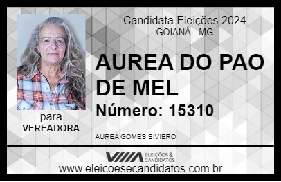 Candidato AUREA DO PAO DE MEL  2024 - GOIANÁ - Eleições