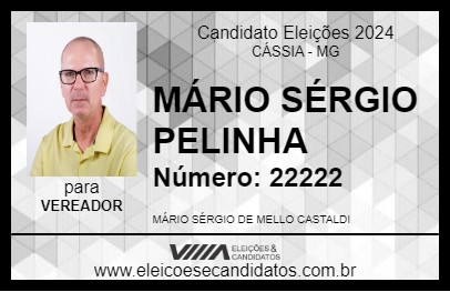 Candidato MÁRIO SÉRGIO PELINHA 2024 - CÁSSIA - Eleições