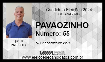 Candidato PAVAOZINHO 2024 - GOIANÁ - Eleições