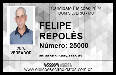 Candidato FELIPE REPOLÊS 2024 - DOM SILVÉRIO - Eleições