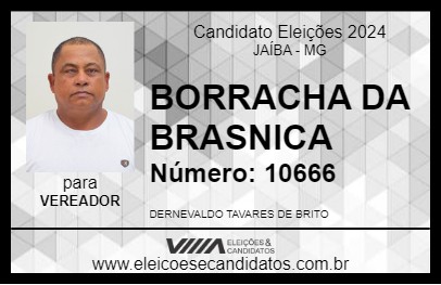 Candidato BORRACHA DA BRASNICA 2024 - JAÍBA - Eleições