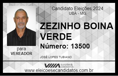 Candidato ZEZINHO BOINA VERDE 2024 - UBÁ - Eleições