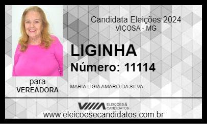 Candidato LIGINHA 2024 - VIÇOSA - Eleições