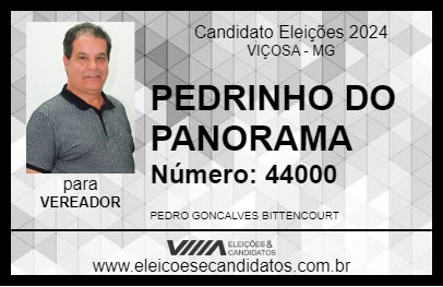 Candidato PEDRINHO DO PANORAMA 2024 - VIÇOSA - Eleições