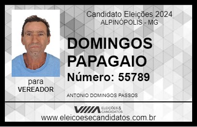 Candidato DOMINGOS PAPAGAIO 2024 - ALPINÓPOLIS - Eleições