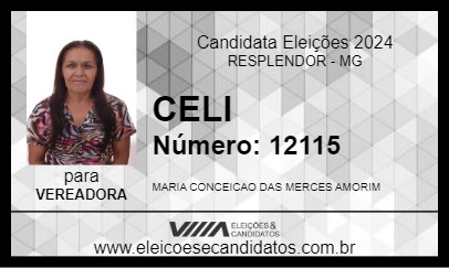 Candidato CELI 2024 - RESPLENDOR - Eleições