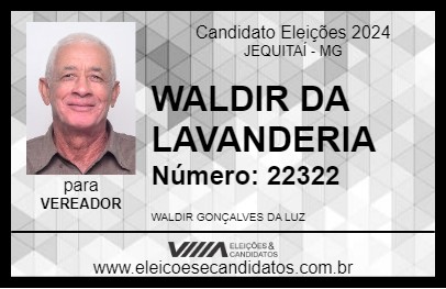 Candidato WALDIR DA LAVANDERIA 2024 - JEQUITAÍ - Eleições