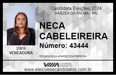 Candidato NECA CABELEIREIRA 2024 - VÁRZEA DA PALMA - Eleições