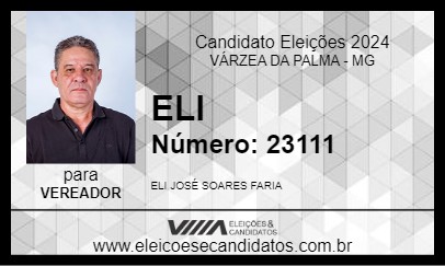 Candidato ELI 2024 - VÁRZEA DA PALMA - Eleições