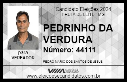 Candidato PEDRINHO DA VERDURA 2024 - FRUTA DE LEITE - Eleições