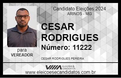 Candidato CESAR RODRIGUES 2024 - ARINOS - Eleições