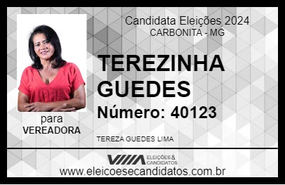 Candidato TEREZINHA GUEDES 2024 - CARBONITA - Eleições