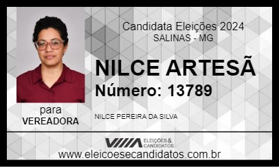 Candidato NILCE ARTESÃ 2024 - SALINAS - Eleições