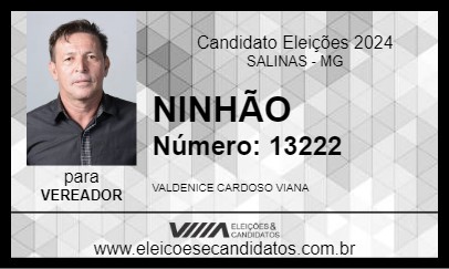 Candidato NINHÃO 2024 - SALINAS - Eleições