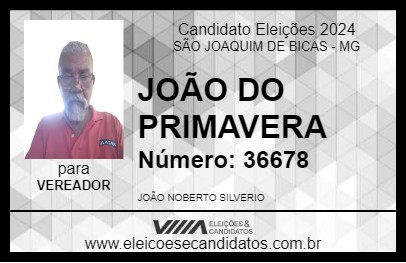 Candidato JOÃO DO PRIMAVERA 2024 - SÃO JOAQUIM DE BICAS - Eleições