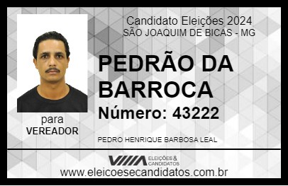 Candidato PEDRÃO DA BARROCA 2024 - SÃO JOAQUIM DE BICAS - Eleições