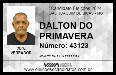 Candidato DALTON DO PRIMAVERA 2024 - SÃO JOAQUIM DE BICAS - Eleições