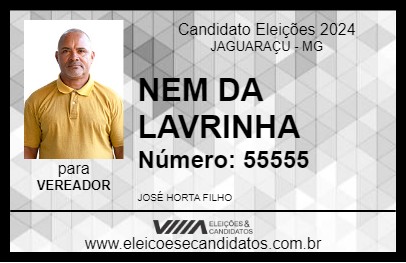 Candidato NEM DA LAVRINHA 2024 - JAGUARAÇU - Eleições