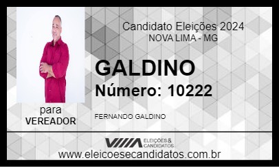 Candidato GALDINO 2024 - NOVA LIMA - Eleições