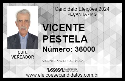 Candidato VICENTE PESTELA 2024 - PEÇANHA - Eleições