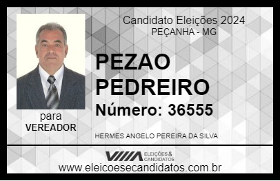 Candidato PEZAO PEDREIRO 2024 - PEÇANHA - Eleições