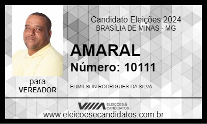 Candidato AMARAL 2024 - BRASÍLIA DE MINAS - Eleições