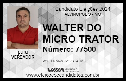 Candidato WALTER DO MICRO TRATOR 2024 - ALVINÓPOLIS - Eleições