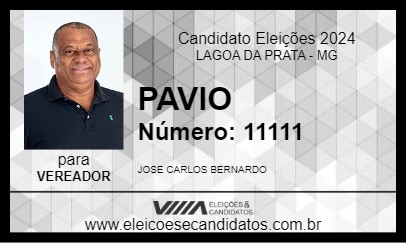 Candidato PAVIO 2024 - LAGOA DA PRATA - Eleições