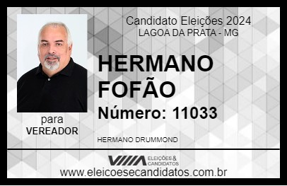 Candidato HERMANO FOFÃO 2024 - LAGOA DA PRATA - Eleições