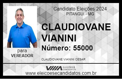 Candidato CLAUDIOVANE VIANINI 2024 - PITANGUI - Eleições