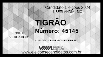 Candidato TIGRÃO 2024 - UBERLÂNDIA - Eleições