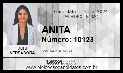 Candidato ANITA 2024 - PALMÓPOLIS - Eleições