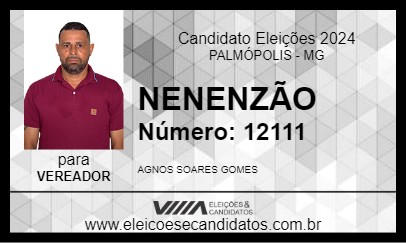 Candidato NENENZÃO 2024 - PALMÓPOLIS - Eleições