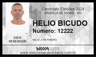 Candidato HELIO BICUDO 2024 - BRASÍLIA DE MINAS - Eleições