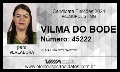 Candidato VILMA DO BODE 2024 - PALMÓPOLIS - Eleições