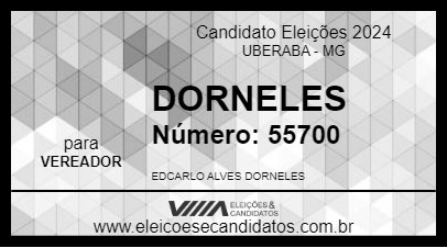 Candidato DORNELES 2024 - UBERABA - Eleições