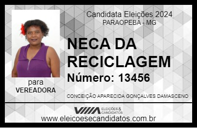 Candidato NECA DA RECICLAGEM 2024 - PARAOPEBA - Eleições