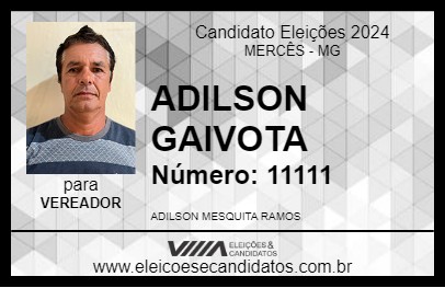 Candidato ADILSON GAIVOTA 2024 - MERCÊS - Eleições