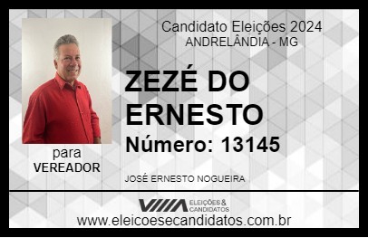 Candidato ZEZÉ DO ERNESTO 2024 - ANDRELÂNDIA - Eleições